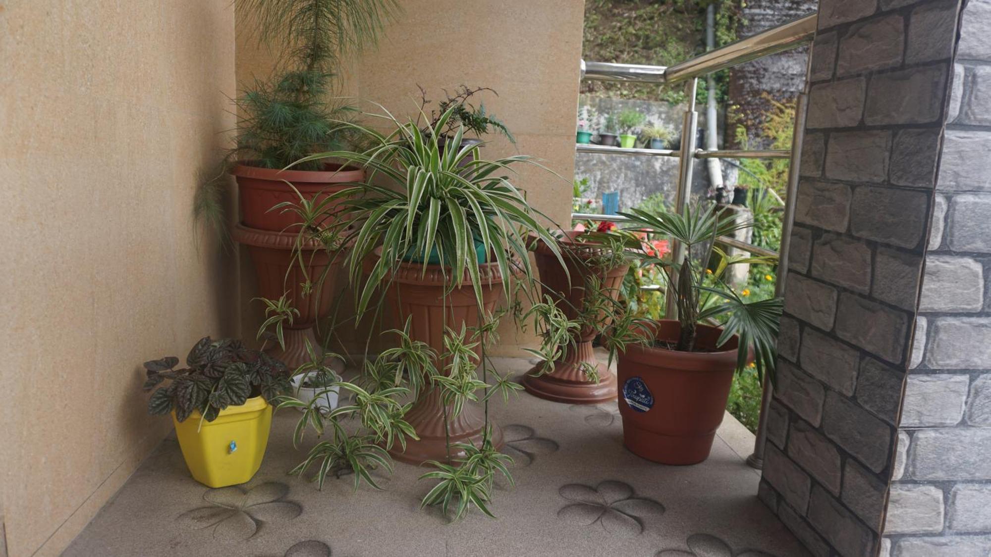 Tranquil Retreat Homestay Ghum Exterior foto
